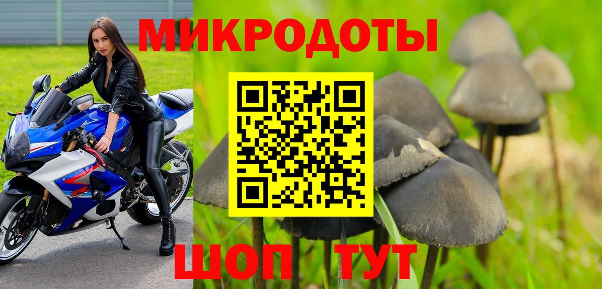 Псилоцибиновые грибы Psilocybine cubensis  Псилоцибиновые грибы прущие грибы  Коряжма  Вход с VPN 